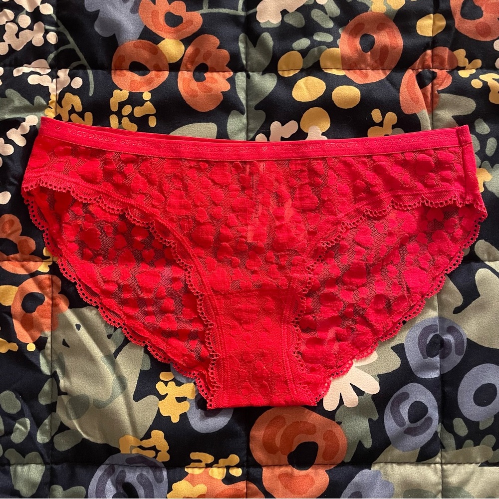 NWT Victoria’s Secret Lace Heart Bikini Panty